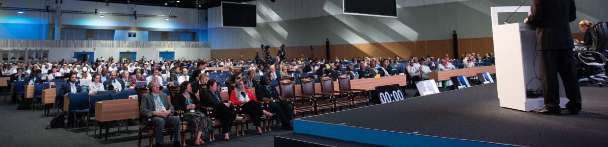 Background decorative image